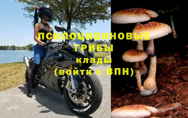 Псилоцибиновые грибы MAGIC MUSHROOMS  Агидель 